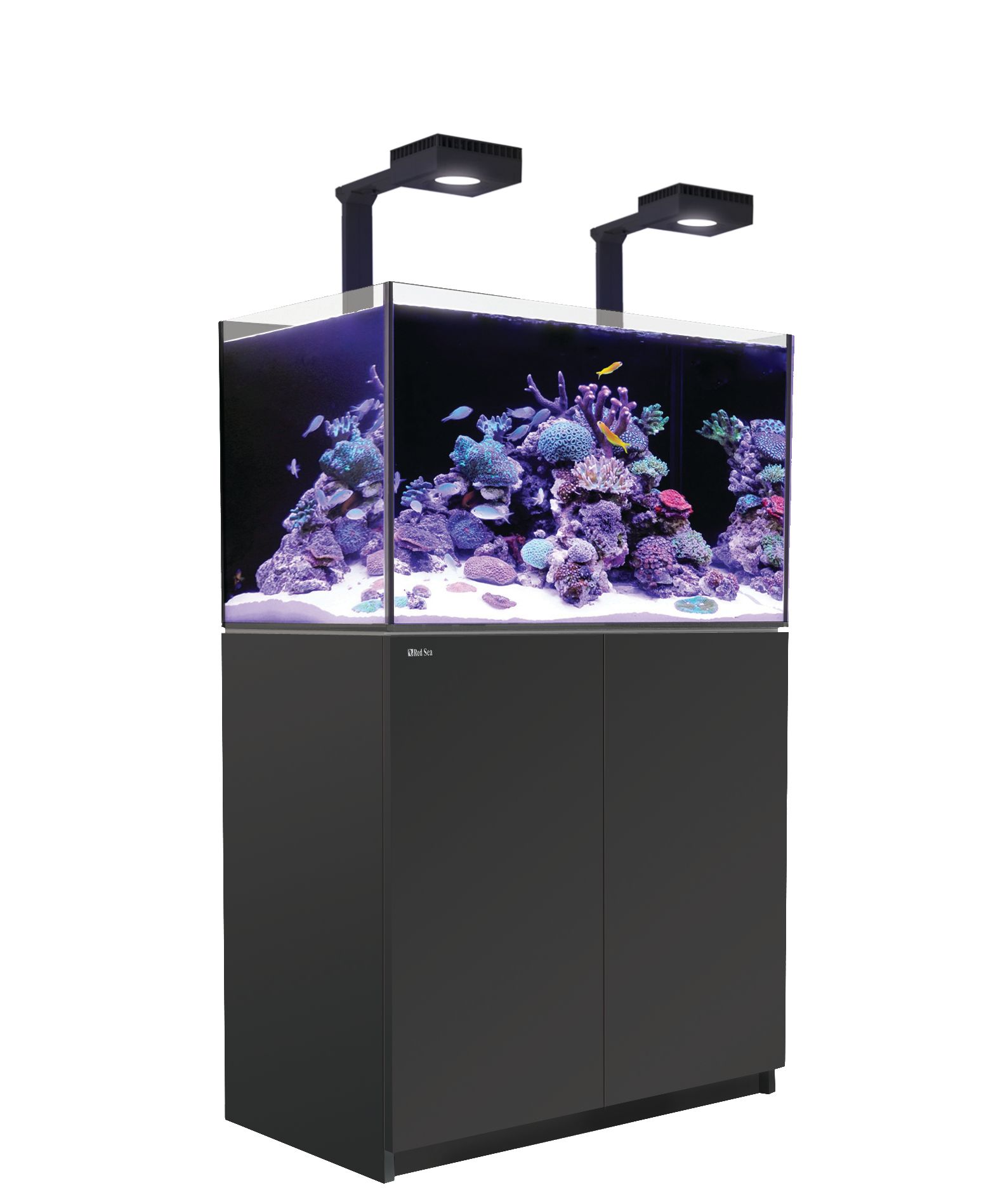 Red Sea Reefer 250 Deluxe black