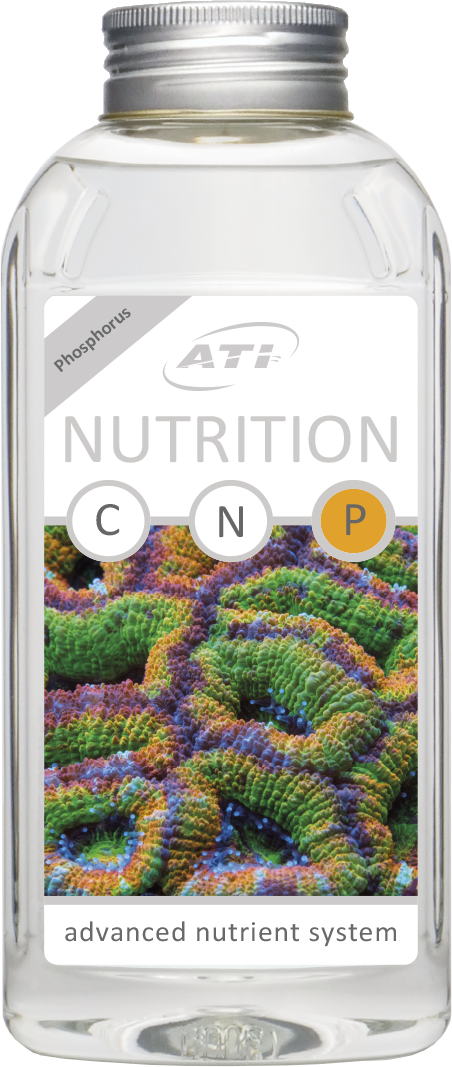 ATI Nutrition P